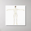 Suche nach nerven leinwandbilder Biologie