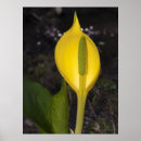 Suche nach sklaven poster Blume