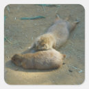 Suche nach präriehund aufkleber Für alle