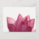 Suche nach lotus blume postkarten Natur