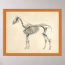 Suche nach vintage pferde poster Drucken