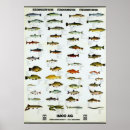 Suche nach fischen poster Vintag