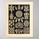 Suche nach ocean poster Meer