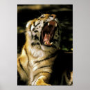 Suche nach zoo poster Tierwelt