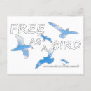Suche nach freier vogel postkarten Vogelvogel