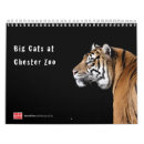 Suche nach zoo kalender Tiger