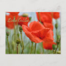 Suche nach mohnblume postkarten Grün