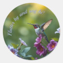 Suche nach grüner kolibri aufkleber Für alle