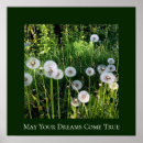 Suche nach dandelions poster Botanical