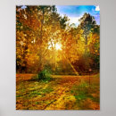 Suche nach lichtstrahl poster Grün