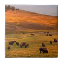 Suche nach weiden fliesen Natur