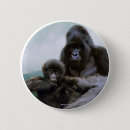 Suche nach primat buttons Affen