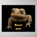 Suche nach lustiger frosch poster Tiere