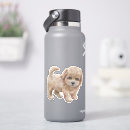 Suche nach cavapoo aufkleber Jede person