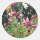 Suche nach kosmos aufkleber Blume