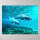 Suche nach duo poster Delphine