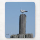 Suche nach coole vögel mousepads Tiere