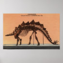 Suche nach naturgeschichte poster Staaten