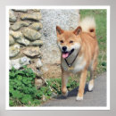Suche nach shiba inu kunst Japanisch