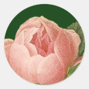 Suche nach kohl rose aufkleber Vintag