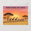 Suche nach das serengeti postkarten Nationalpark