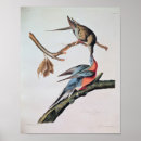 Suche nach vogelnest poster Vögel