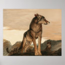 Suche nach einsamer wolf poster Tier