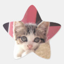 Suche nach bärte aufkleber Katze