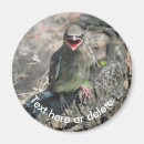 Suche nach bird magnete Für sie
