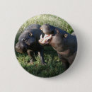 Suche nach nilpferde buttons Hippie