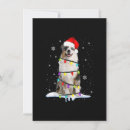 Suche nach australian shepherd einladungen Rentiere