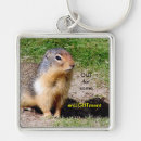 Suche nach groundhog Wild