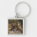 Suche nach owl schlüsselanhänger Tierwelt