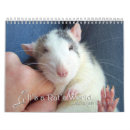 Suche nach ratten kalender Niedlich