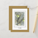 Suche nach katzengesicht postkarten Niedlich