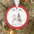 Suche nach weihnachtserinnerungen ornamente Elegant