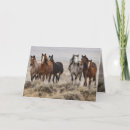 Suche nach laufendes pferd karten Wildpferd