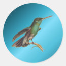 Suche nach kolibrie aufkleber Jede person