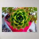Suche nach lippenstift poster Jede person