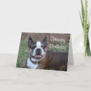 Suche nach brindle karten Haustier