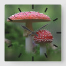 Suche nach roter pilz wanduhren Zauberpilz