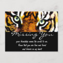 Suche nach vermisst postkarten Tiger