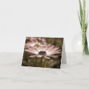 Suche nach macro karten Rosa