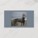 Suche nach dobermann pinscher visitenkarten Welpe