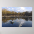 Suche nach perch poster Vogelvogel