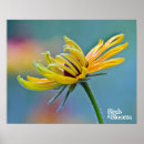 Suche nach gärtner im poster Vögel und blüte