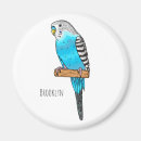 Suche nach budgerigar magnete Für alle