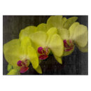 Suche nach orchidee schneidebrettchen Jede person