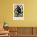 Suche nach schimpansen poster Tier