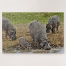 Suche nach hippopotamus puzzle Nilpferd
